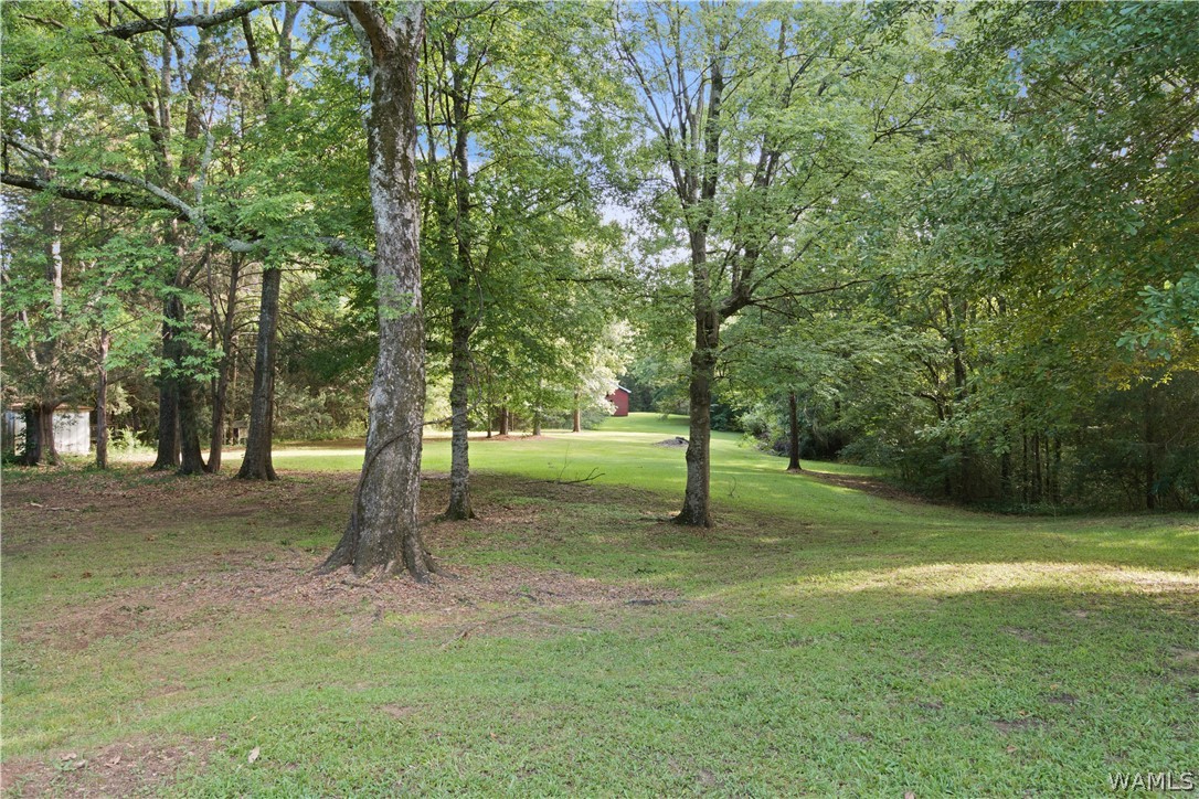 140 Barnes Lane, Eutaw, Alabama image 34