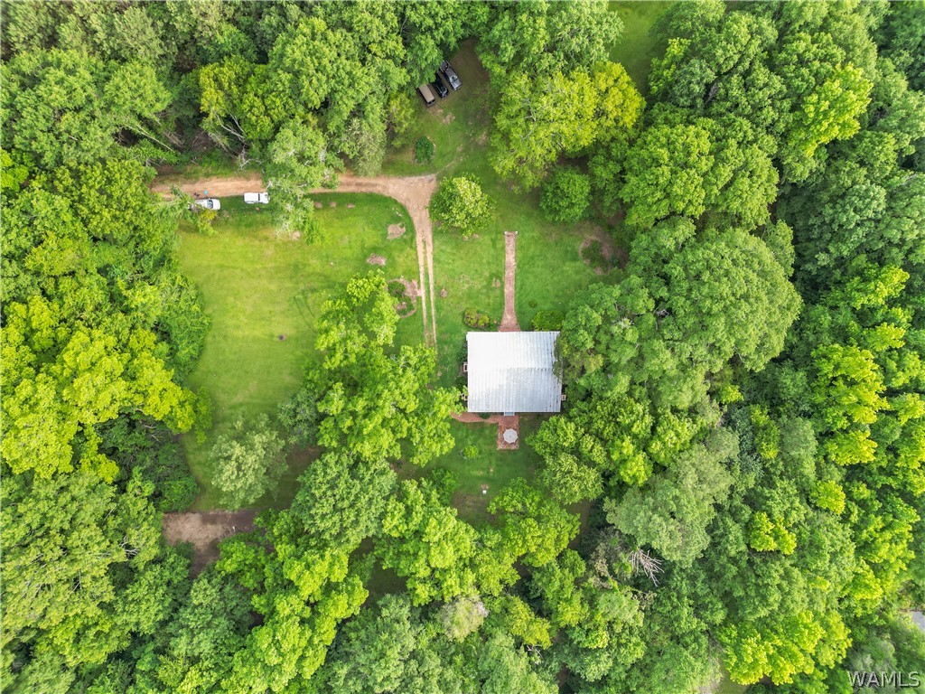 140 Barnes Lane, Eutaw, Alabama image 5