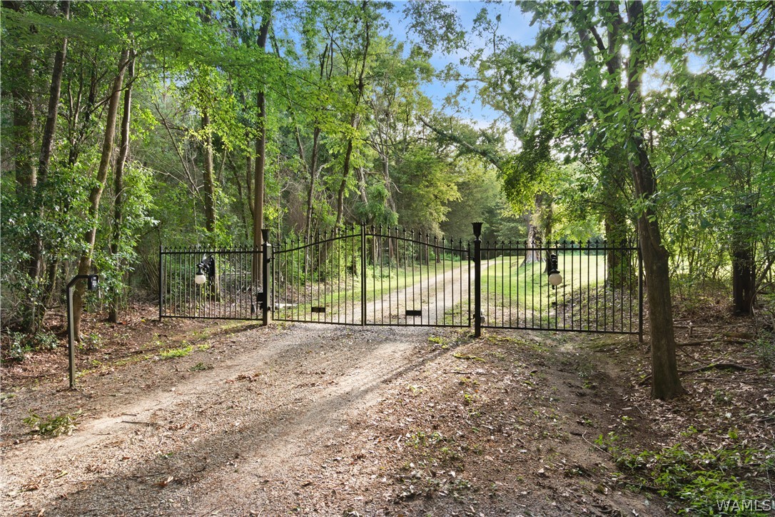 140 Barnes Lane, Eutaw, Alabama image 37