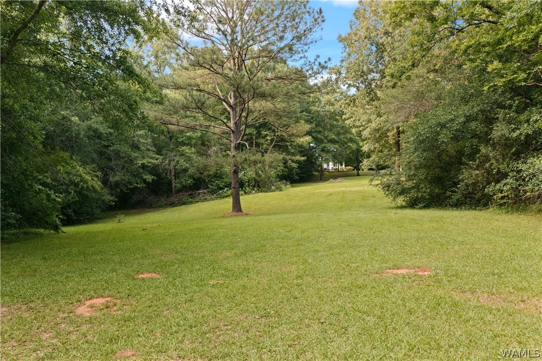 140 Barnes Lane, Eutaw, Alabama image 33