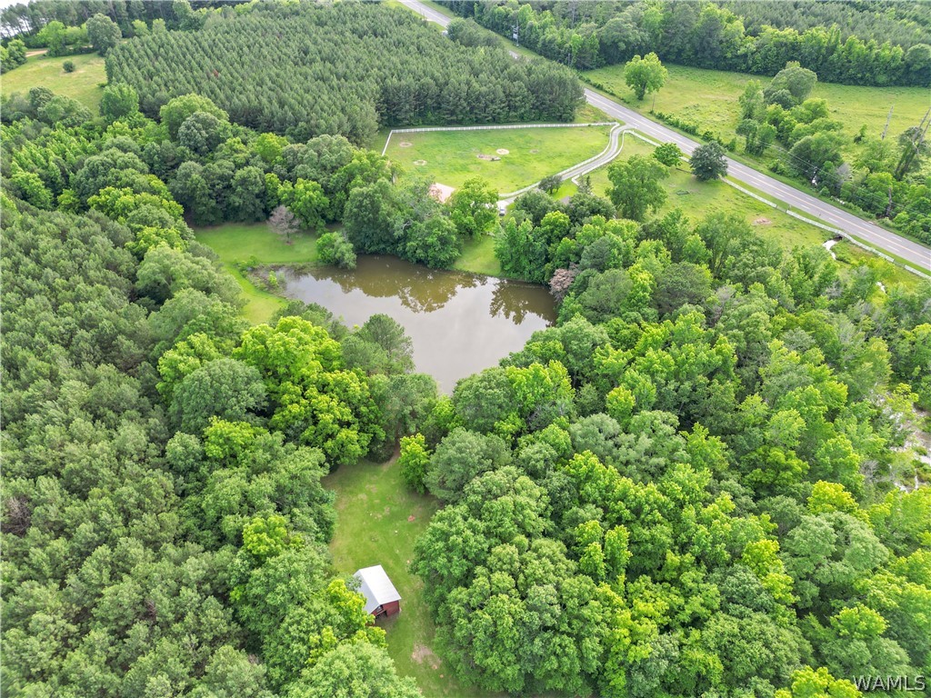140 Barnes Lane, Eutaw, Alabama image 47