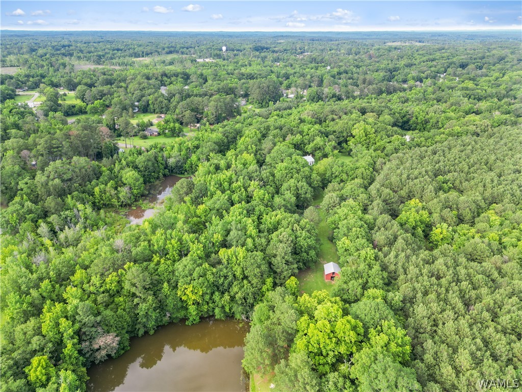 140 Barnes Lane, Eutaw, Alabama image 49
