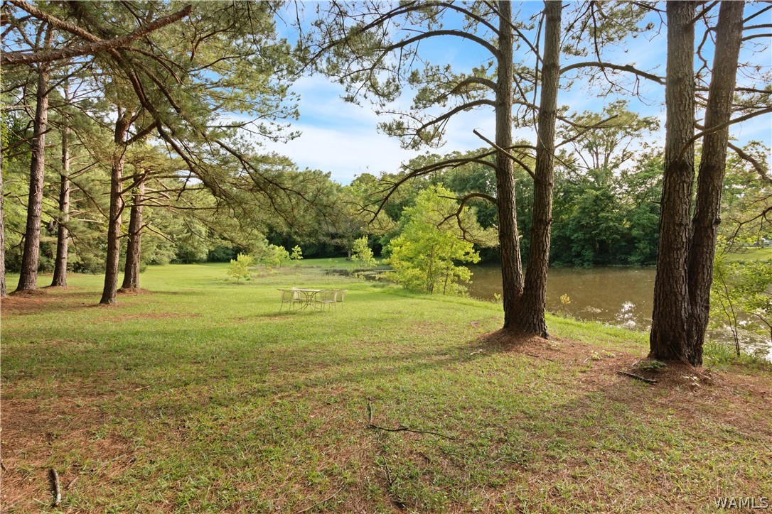 140 Barnes Lane, Eutaw, Alabama image 31
