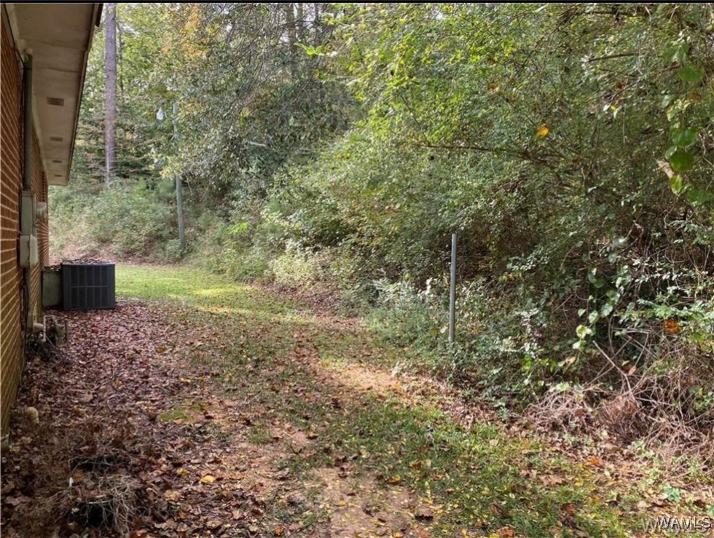 16 Robison Ridge Road, Carrollton, Alabama image 7