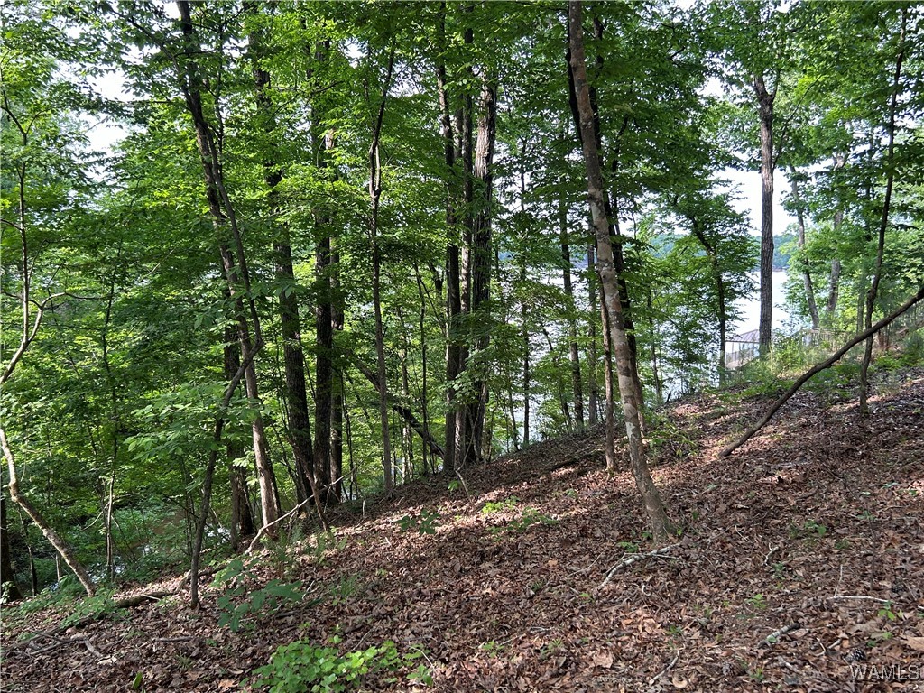 0 Lot 52 Highpoint Cove, North Port, Alabama image 1