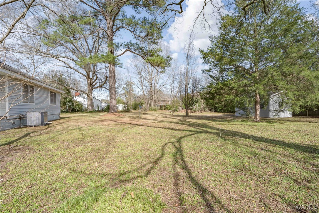 266 3rd Avenue, Moundville, Alabama image 25