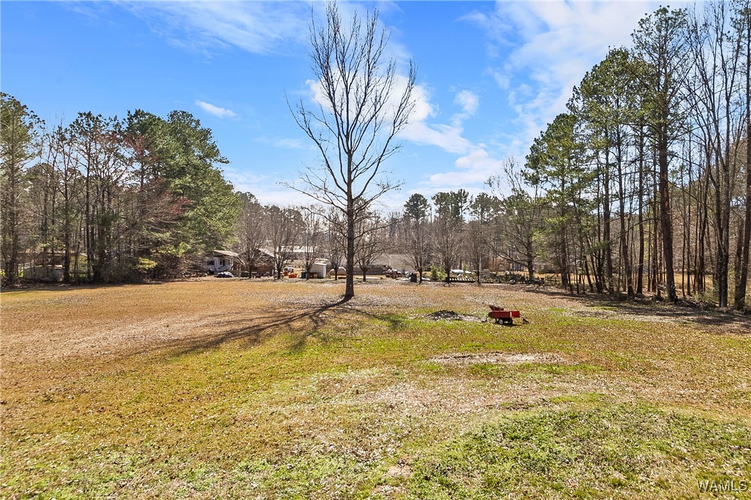 11193 Monticello Drive, Duncanville, Alabama image 22