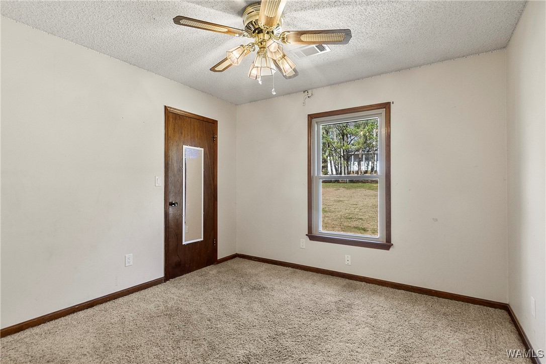 11193 Monticello Drive, Duncanville, Alabama image 17