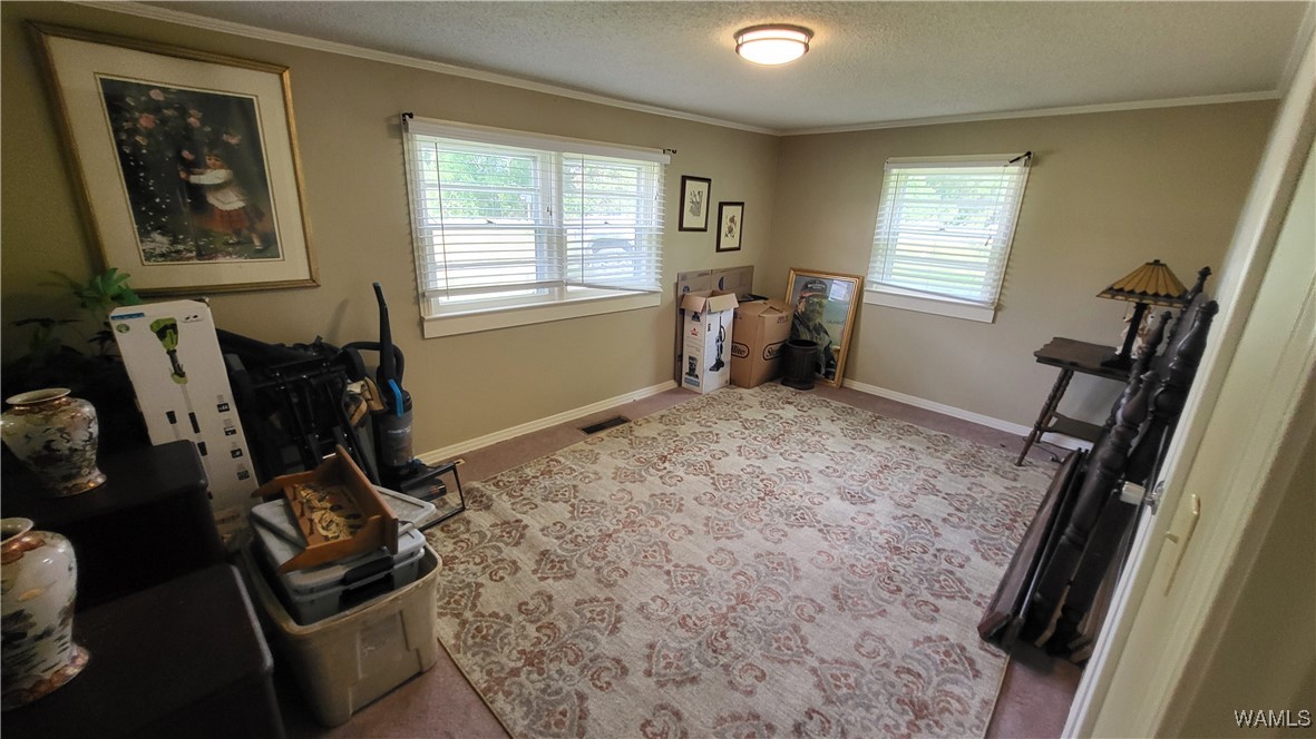 3310 Hwy 159, Gordo, Alabama image 10