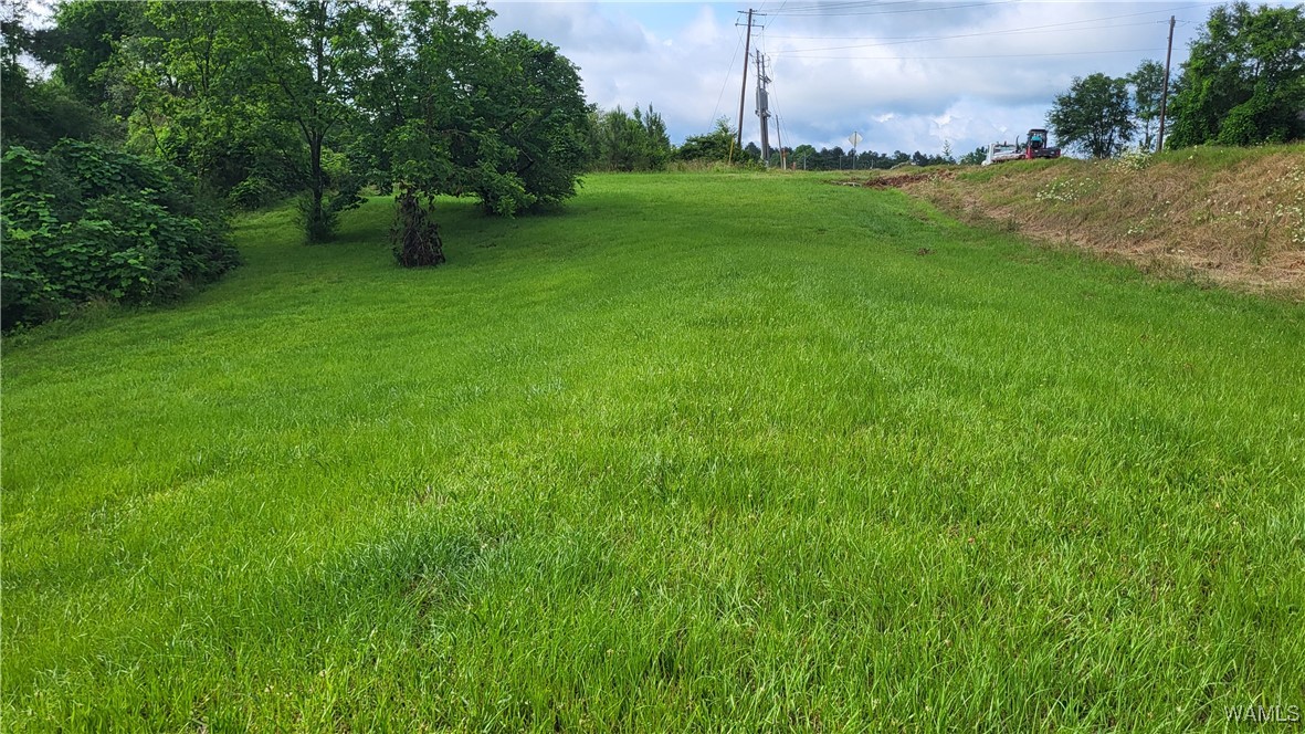 3310 Hwy 159, Gordo, Alabama image 20