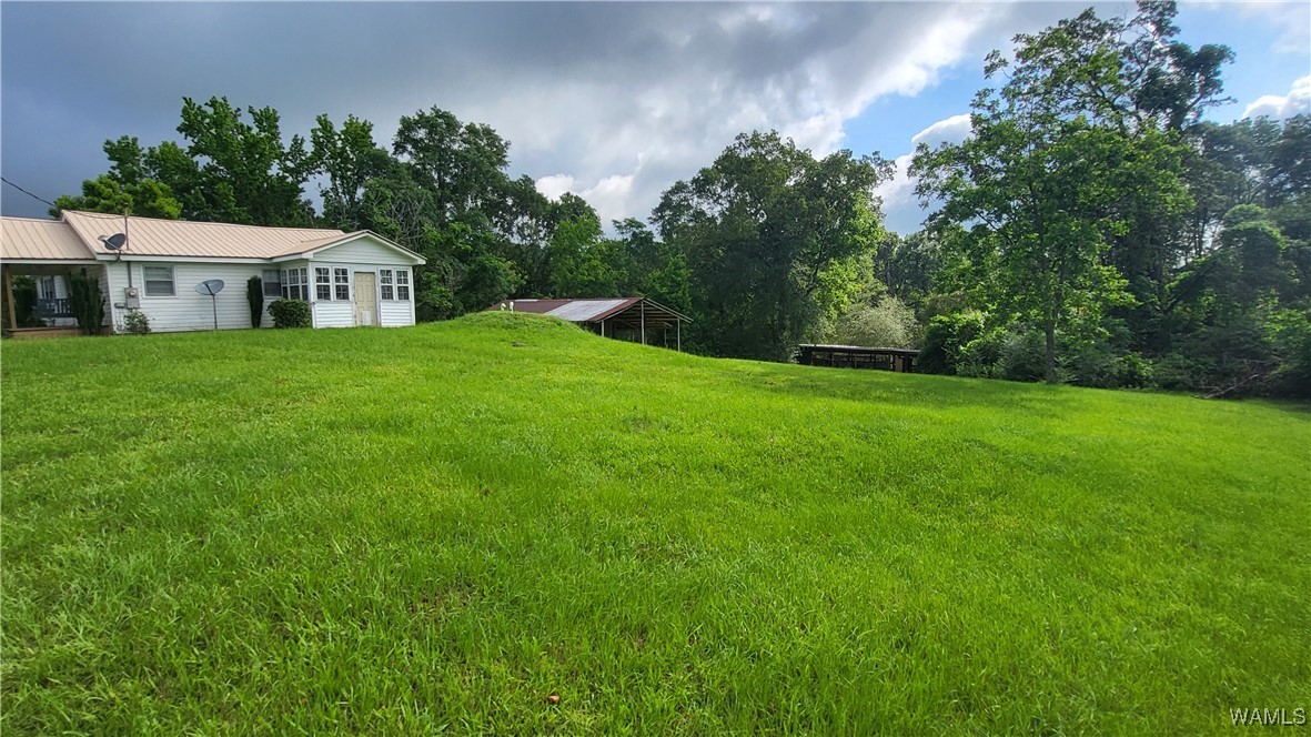 3310 Hwy 159, Gordo, Alabama image 14