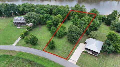 Vacant Land For Sale - 00 Lackey Lane<br/> Fosters, AL 35463