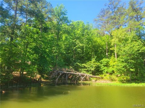 Vacant Land For Sale - 15 Freeman's Bend Road<br/> North Port, AL 35475