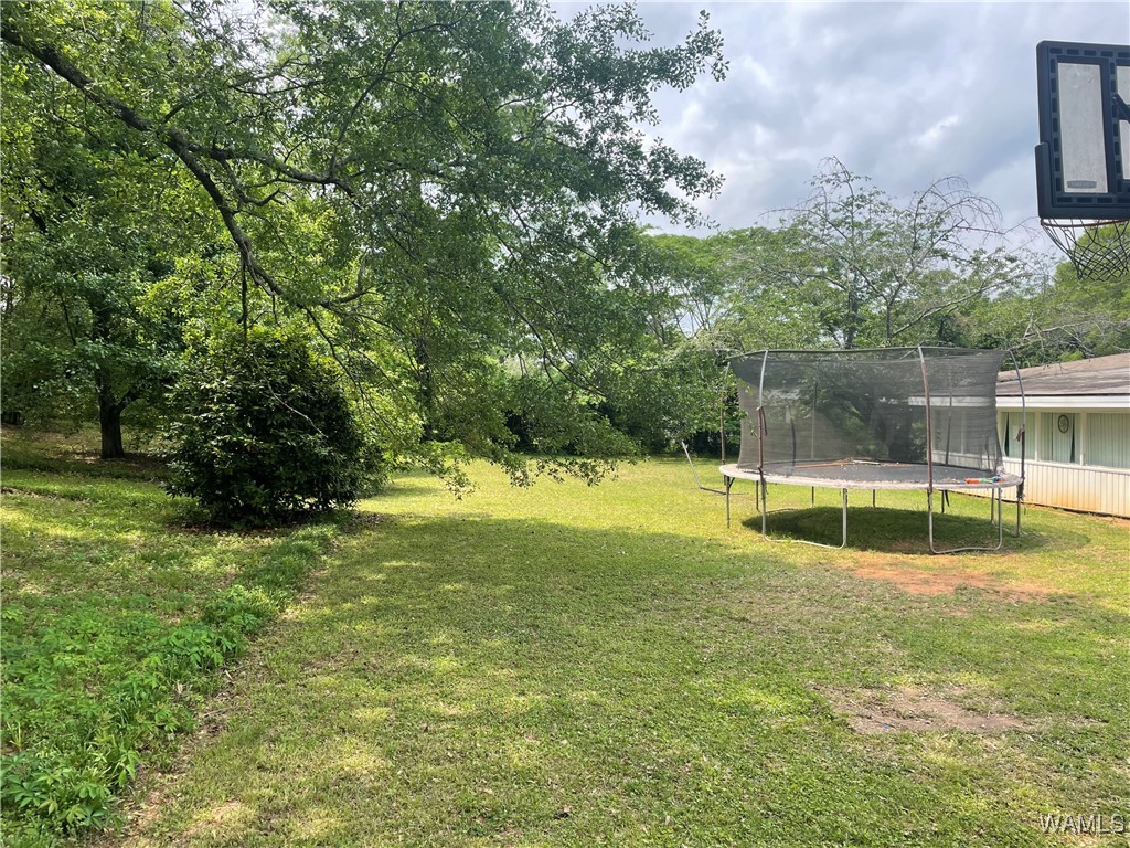31 Southmont Drive, Tuscaloosa, Alabama image 10