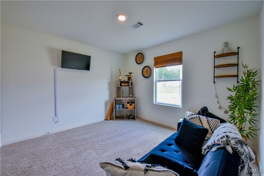 9253 Cotton Field Circle, Tuscaloosa, Alabama image 29