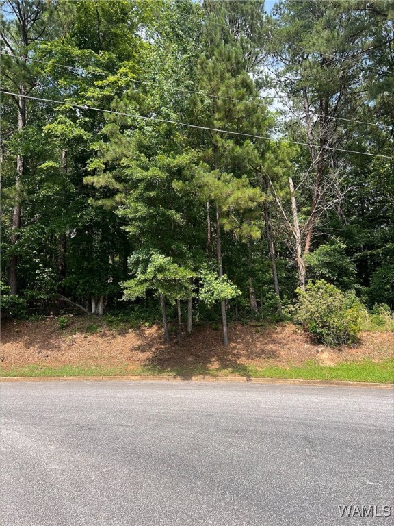 Rockford Drive, North Port, Alabama image 2