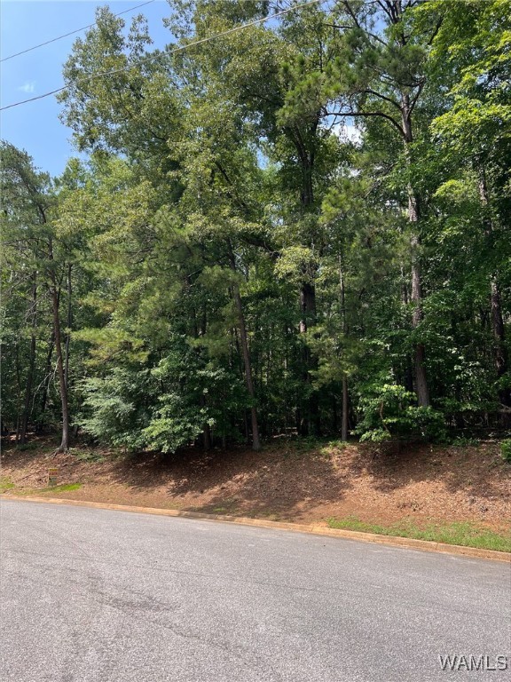 Rockford Drive, North Port, Alabama image 4