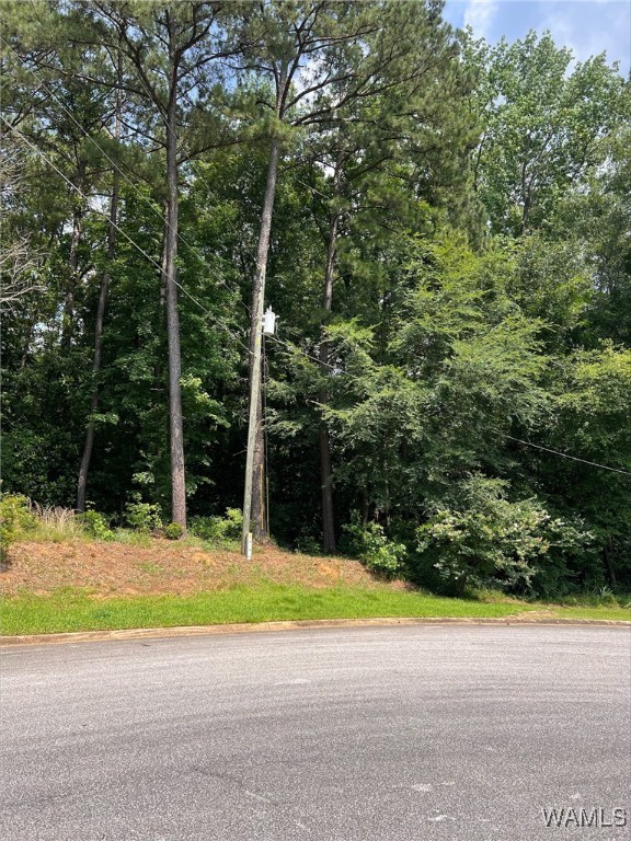 Rockford Drive, North Port, Alabama image 3