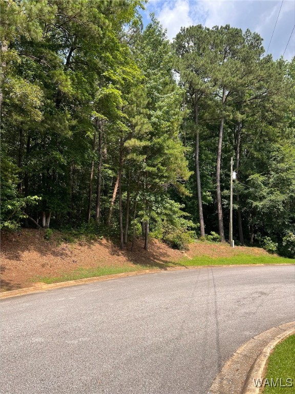 Rockford Drive, North Port, Alabama image 1