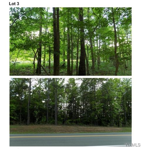 Vacant Land For Sale - 6030 Garner Road<br/> Tuscaloosa, AL 35405