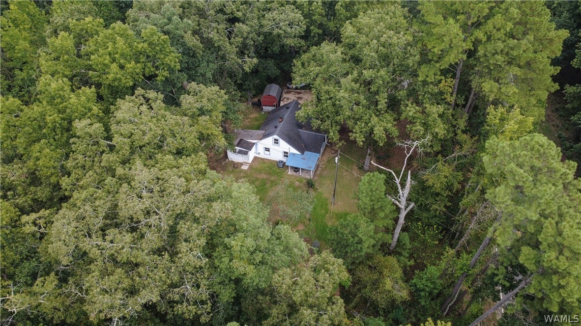 13035 Highway 171
