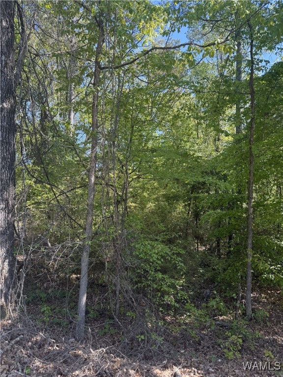 12193 Sellers Lane, Tuscaloosa, Alabama image 2