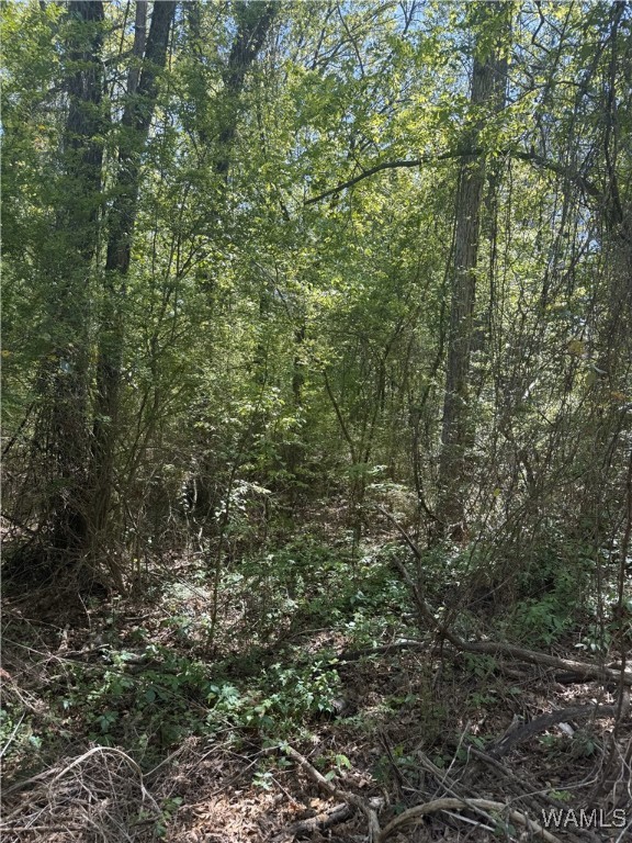 12193 Sellers Lane, Tuscaloosa, Alabama image 1