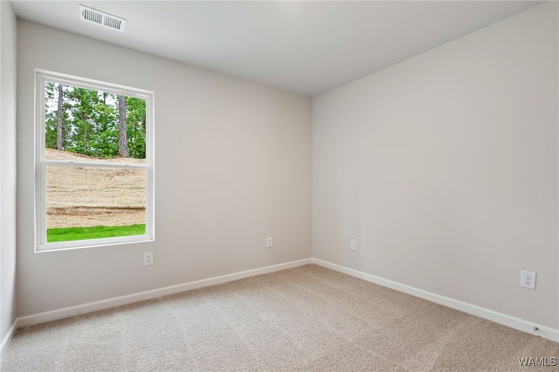 14244 Merlins Way, Tuscaloosa, Alabama image 11