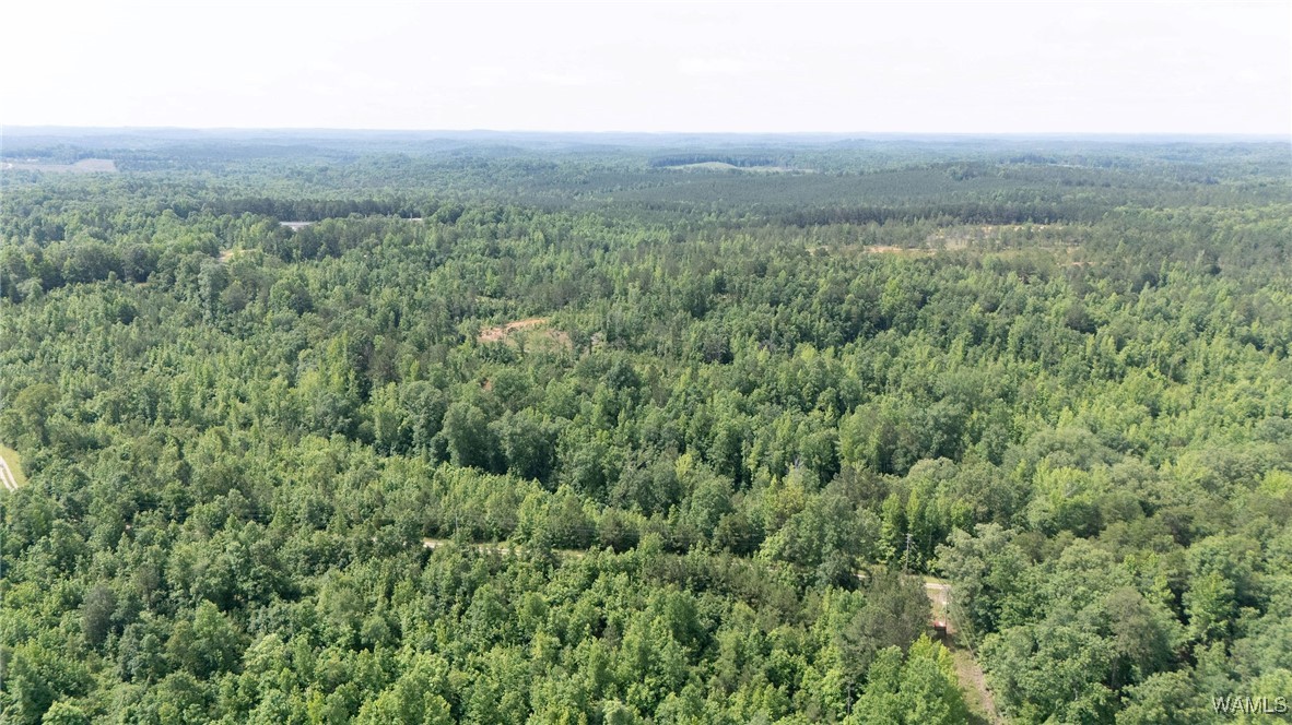Station 32 Road, Cottondale, Alabama image 9