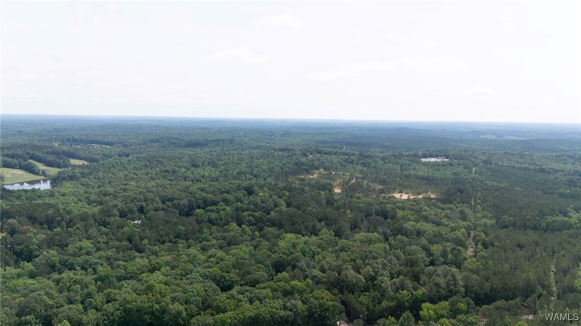 Station 32 Road, Cottondale, Alabama image 6