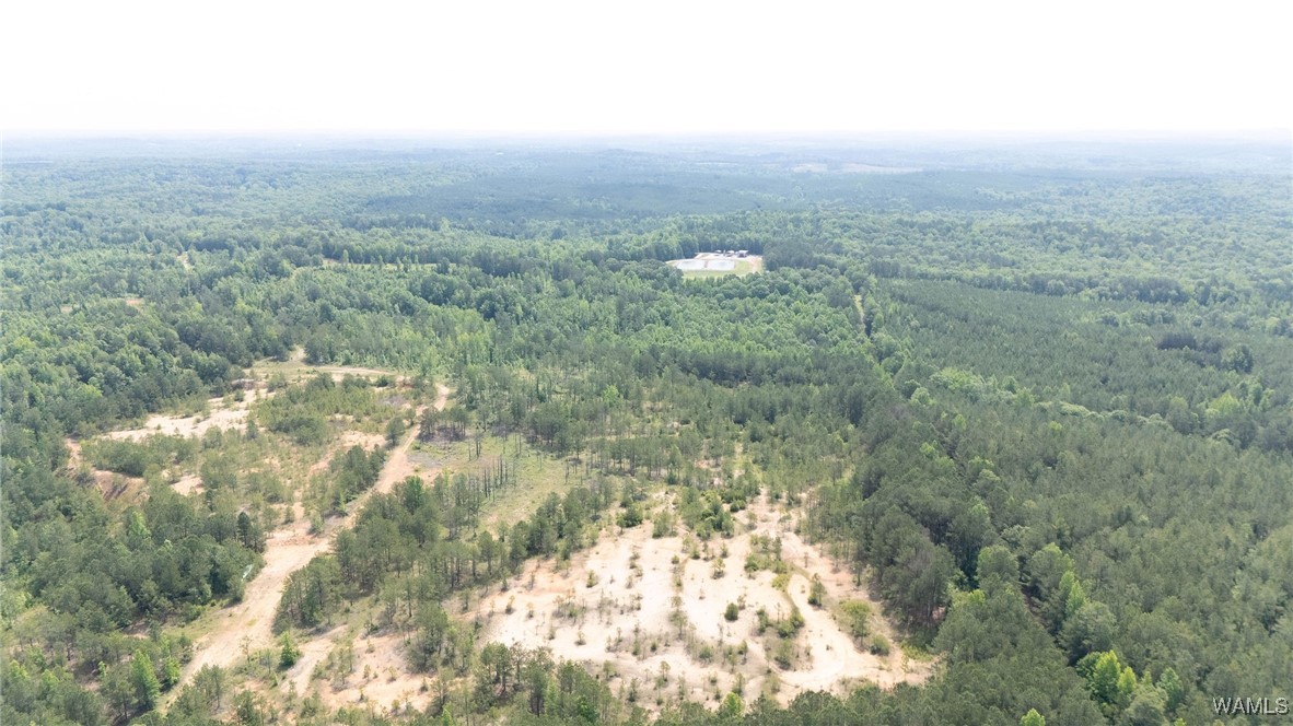 Station 32 Road, Cottondale, Alabama image 8