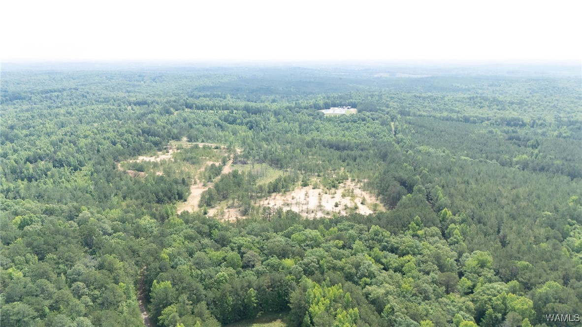 Station 32 Road, Cottondale, Alabama image 7