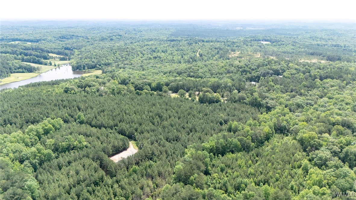 Station 32 Road, Cottondale, Alabama image 13