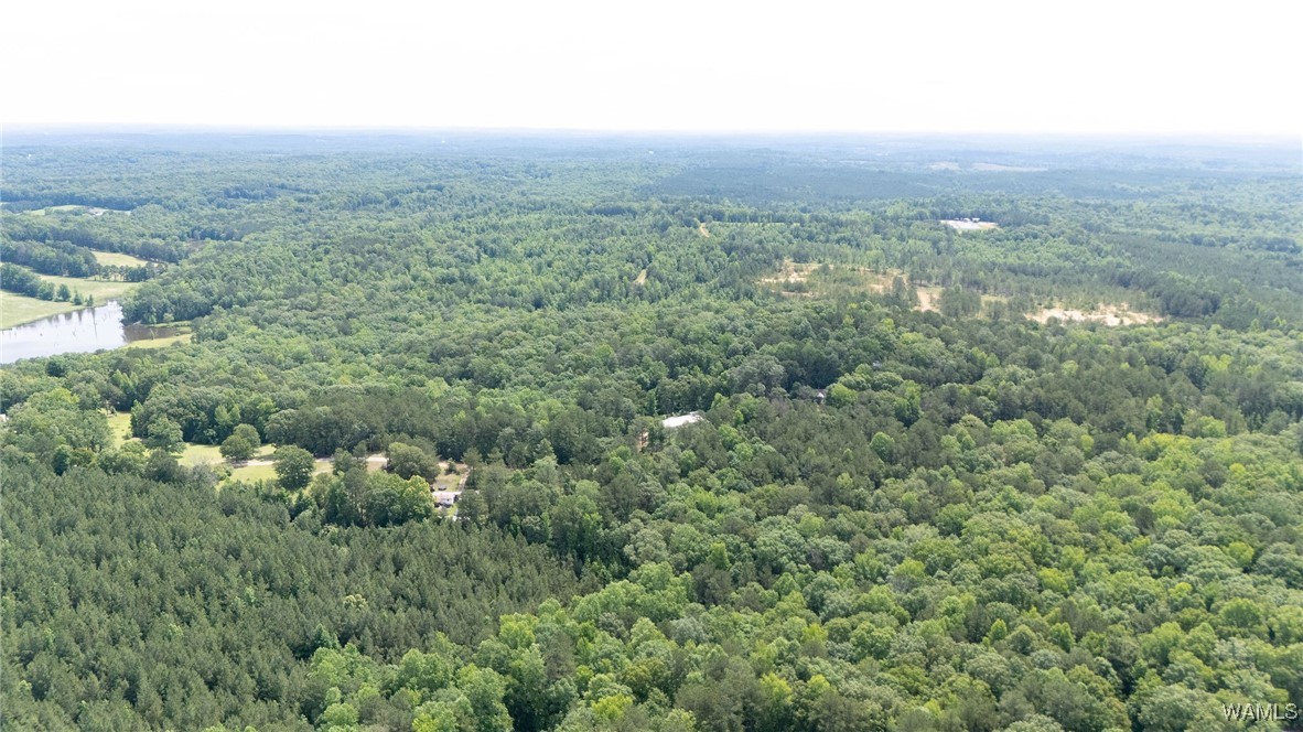Station 32 Road, Cottondale, Alabama image 14