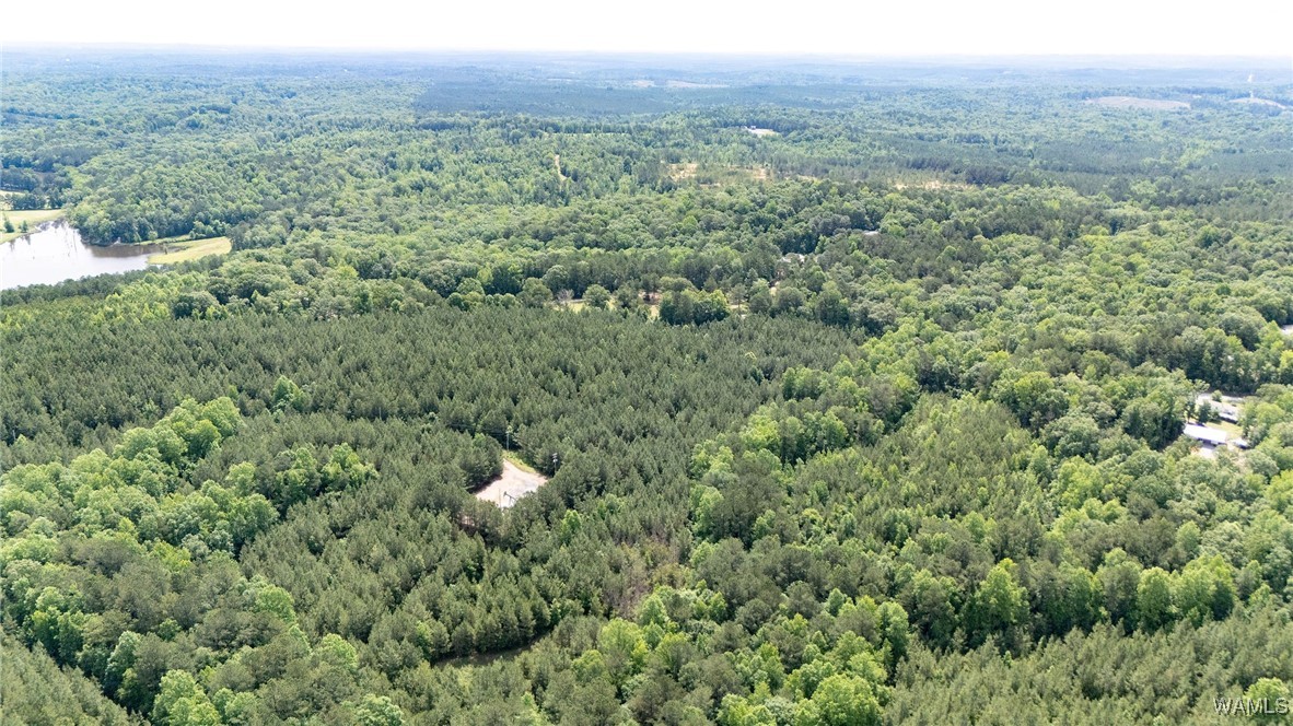 Station 32 Road, Cottondale, Alabama image 12