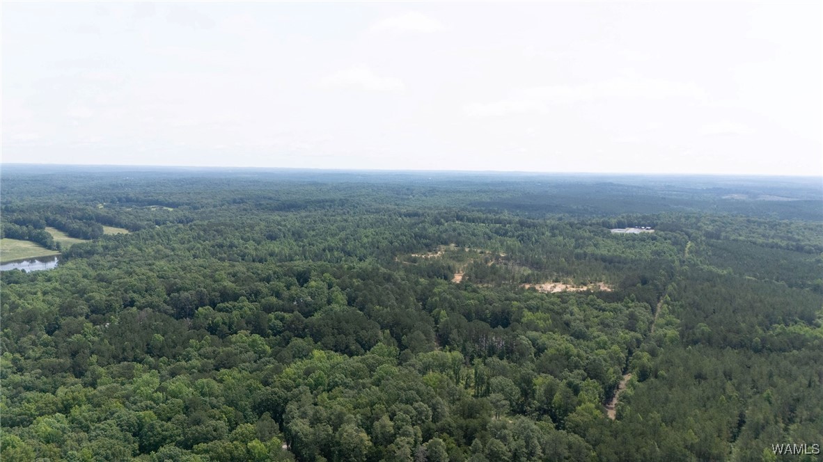 Station 32 Road, Cottondale, Alabama image 5
