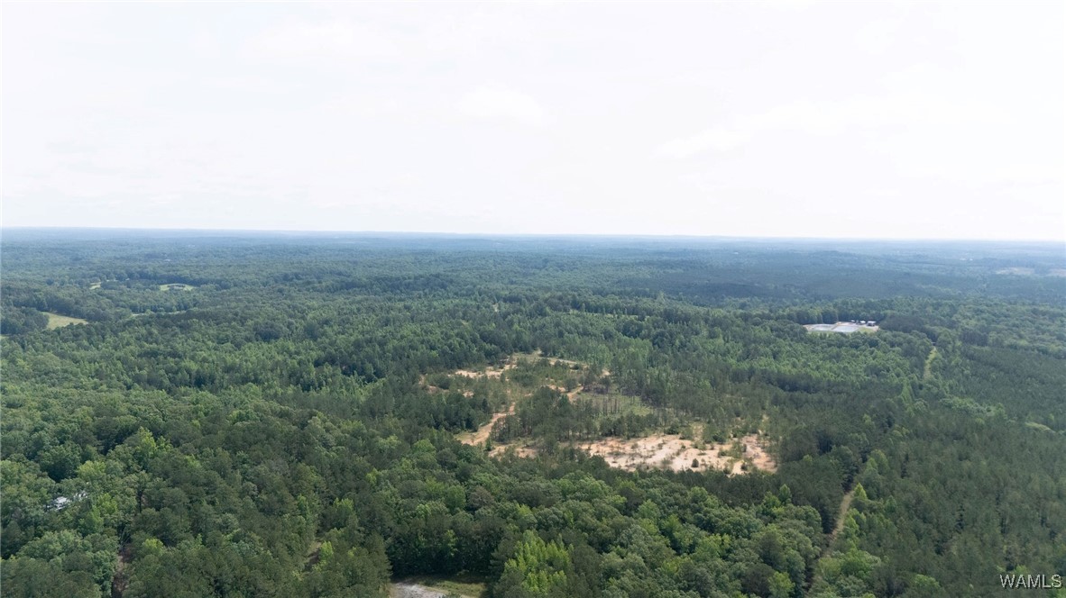 Station 32 Road, Cottondale, Alabama image 2