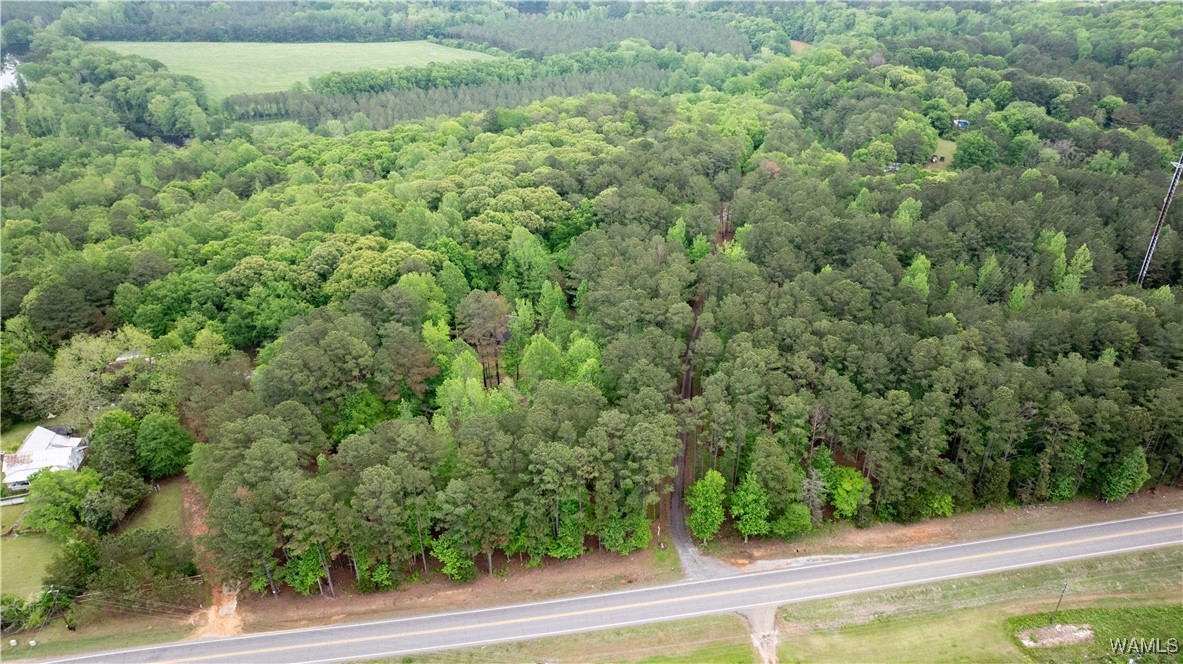 17719 Highway 43 N, North Port, Alabama image 18