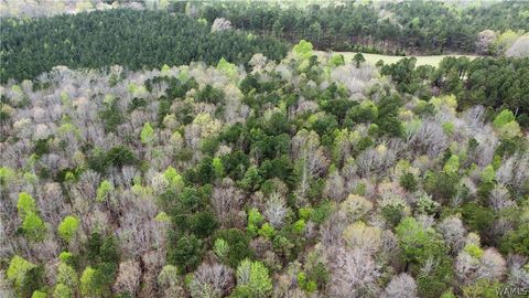 Vacant Land For Sale - 1 County Highway 42<br/> Marion County, Guin, AL 35563