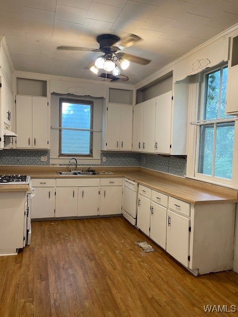 2101 Nelson Street, Greensboro, Alabama image 21