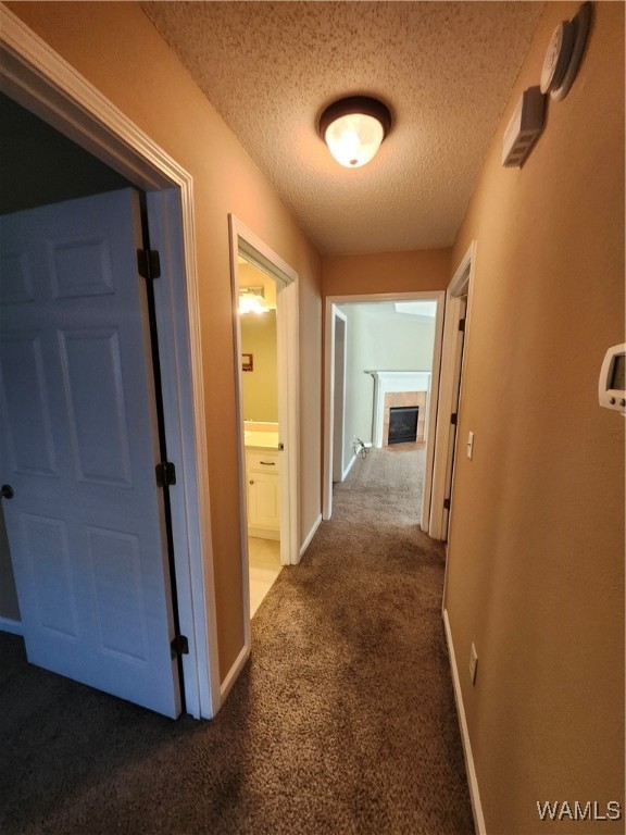 3413 Willow Ridge Drive, Tuscaloosa, Alabama image 9