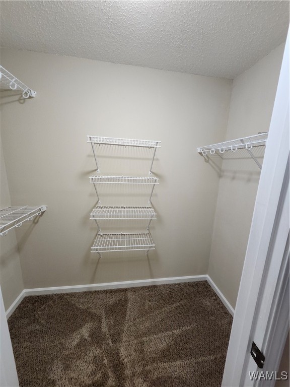 3413 Willow Ridge Drive, Tuscaloosa, Alabama image 24