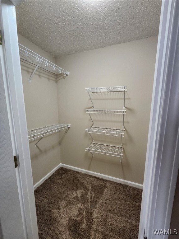 3413 Willow Ridge Drive, Tuscaloosa, Alabama image 23