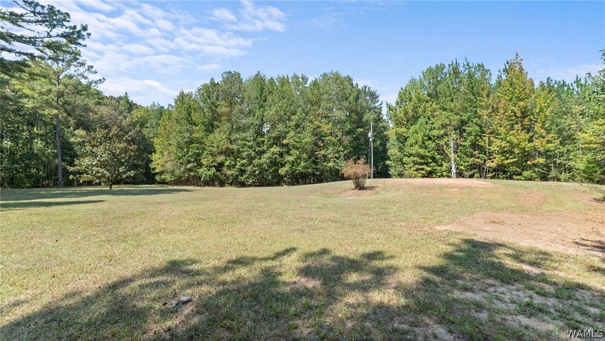 520 Schultz Creek Rd