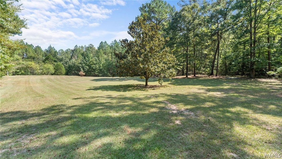 520 Schultz Creek Rd