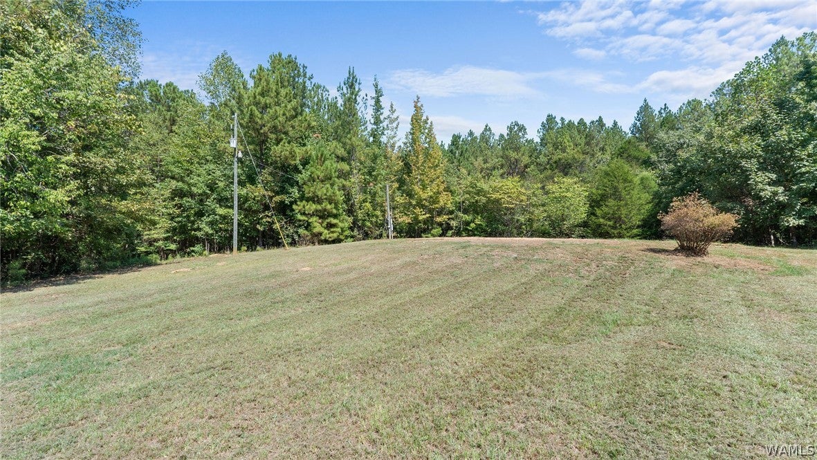 520 Schultz Creek Rd