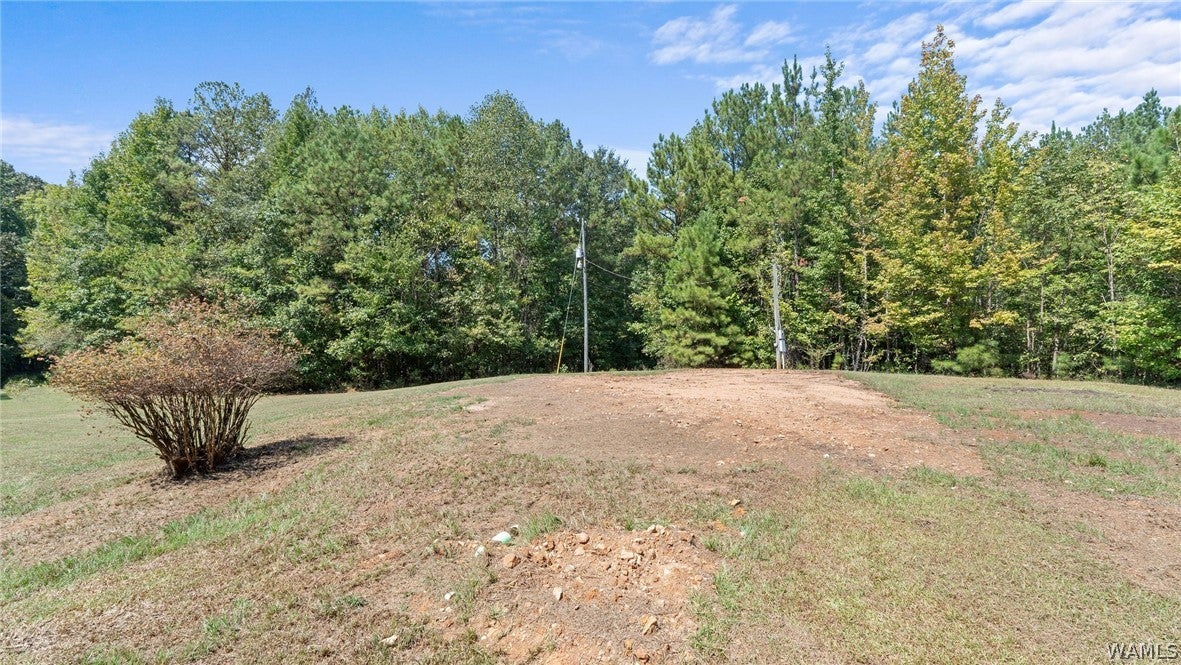 520 Schultz Creek Rd