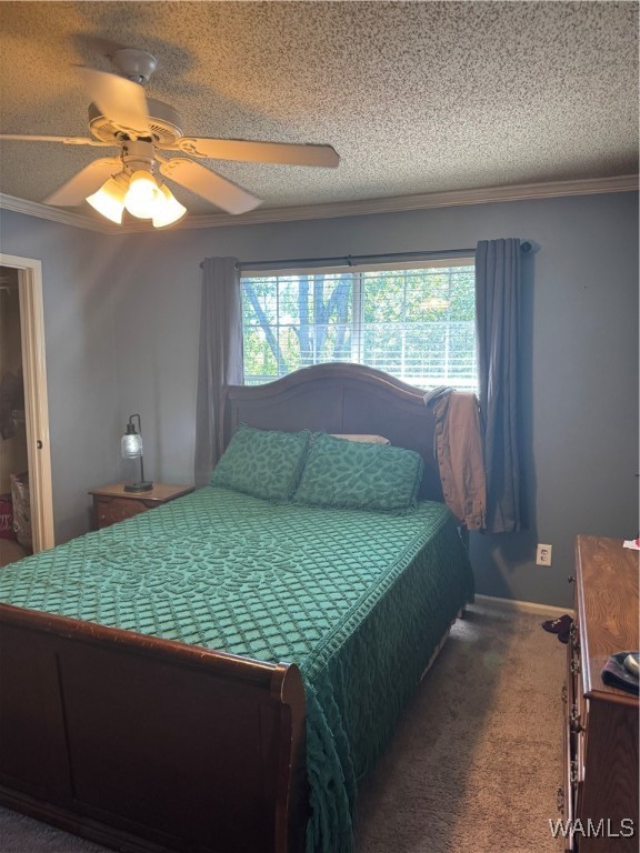 120 15th Street #317, Tuscaloosa, Alabama image 5