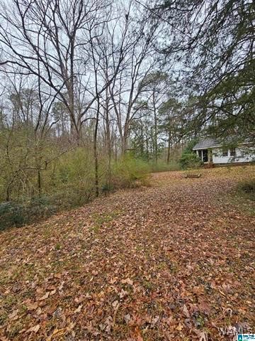 120 Barnett Drive, Bessemer, Alabama image 8