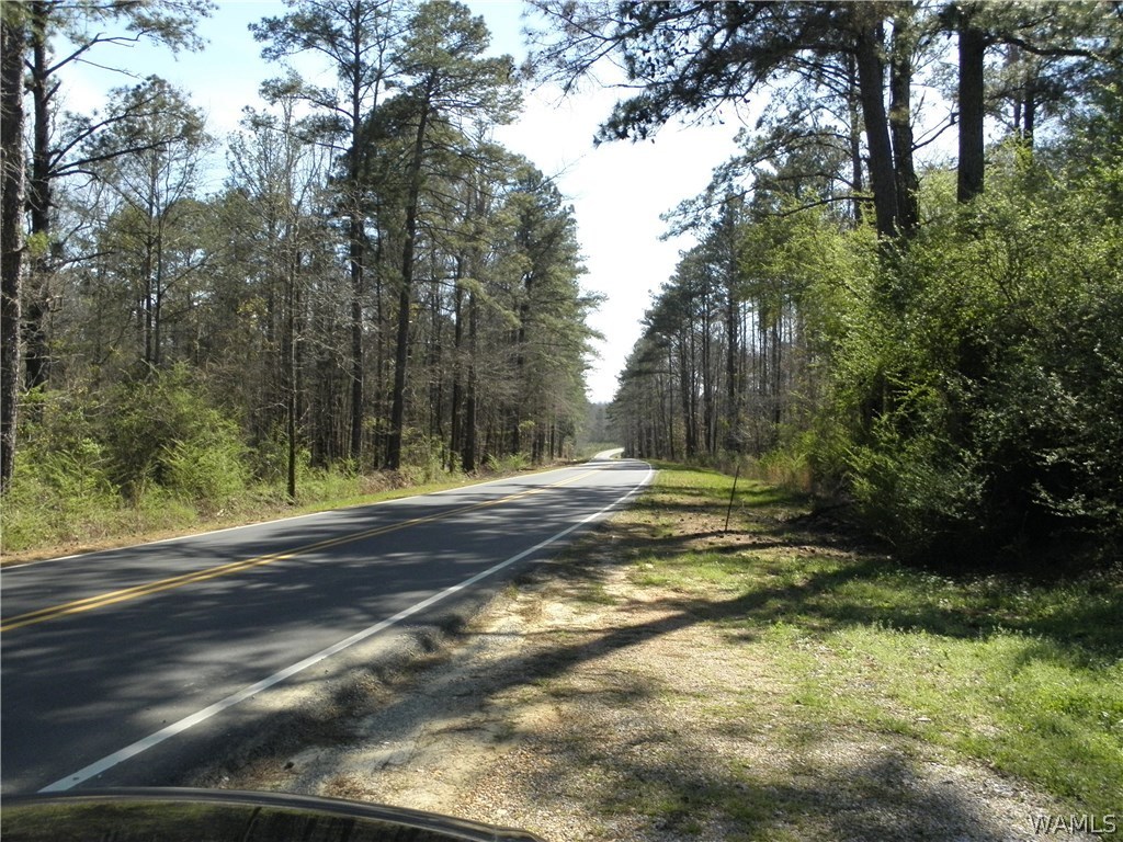 0000 Daffron Road, Cottondale, Alabama image 4